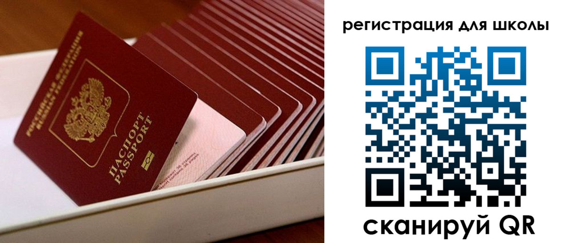 прописка гарантия в Заволжске